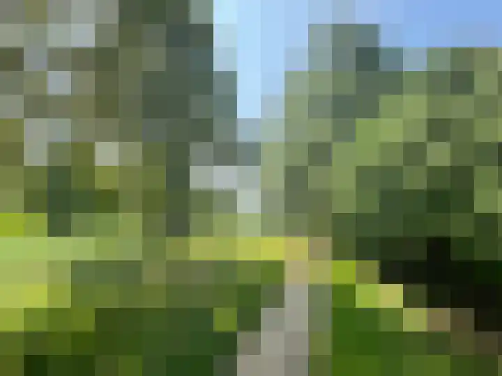 Adonispad 9 Eindhoven thumbnail 30