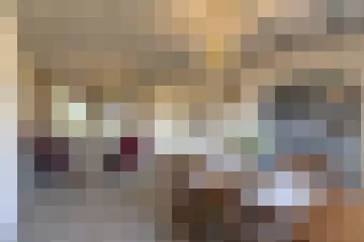 Adonispad 9 Eindhoven thumbnail 8