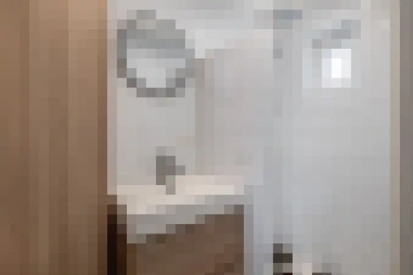 Adoptieplein 19 Herkingen thumbnail 12