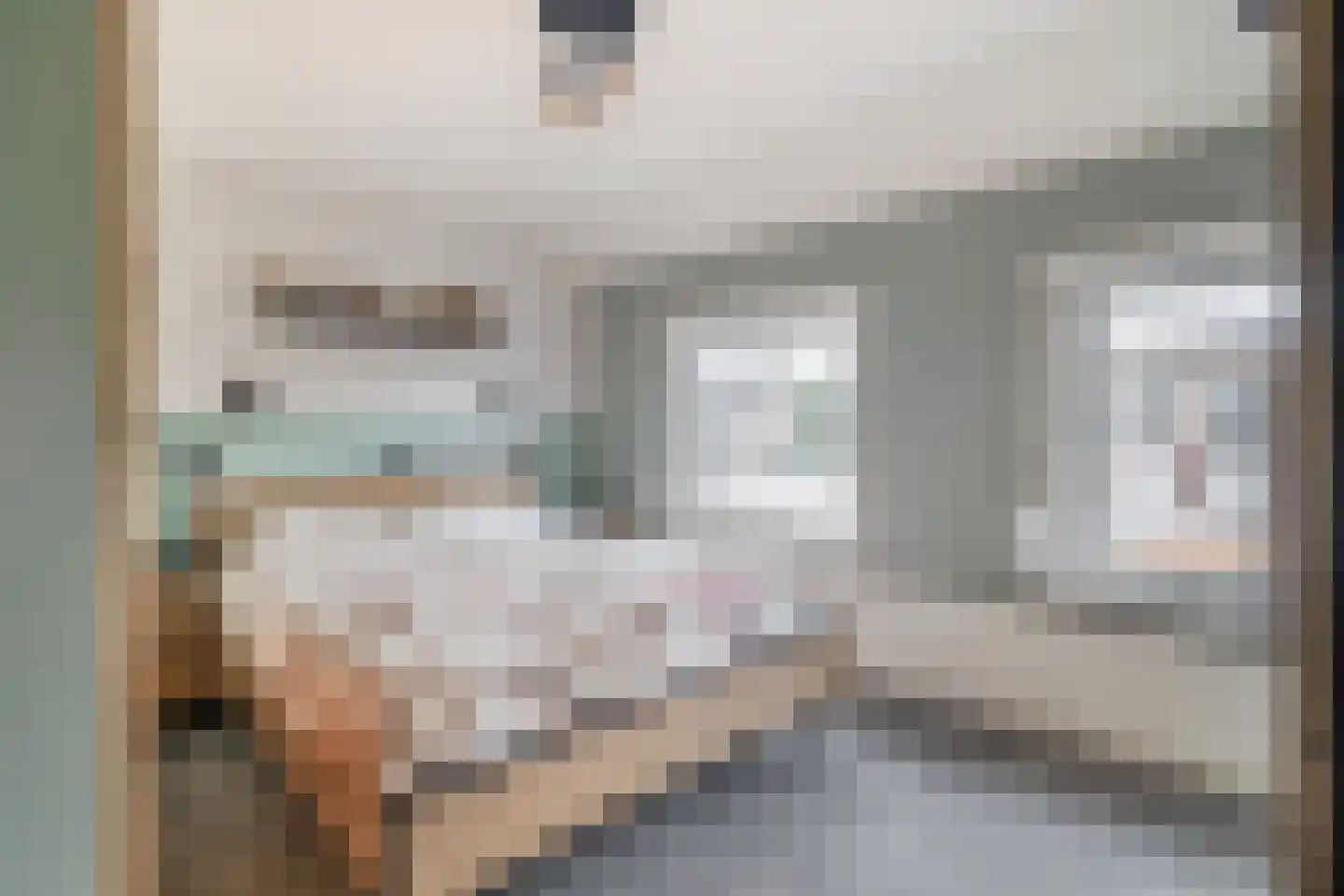 Adoptieplein 19 Herkingen thumbnail 17