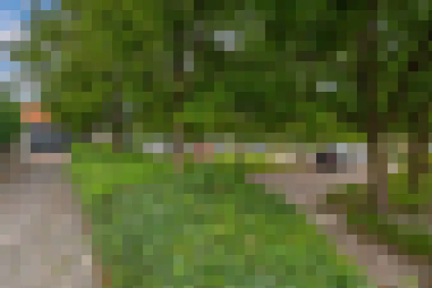 Adoptieplein 19 Herkingen thumbnail 24