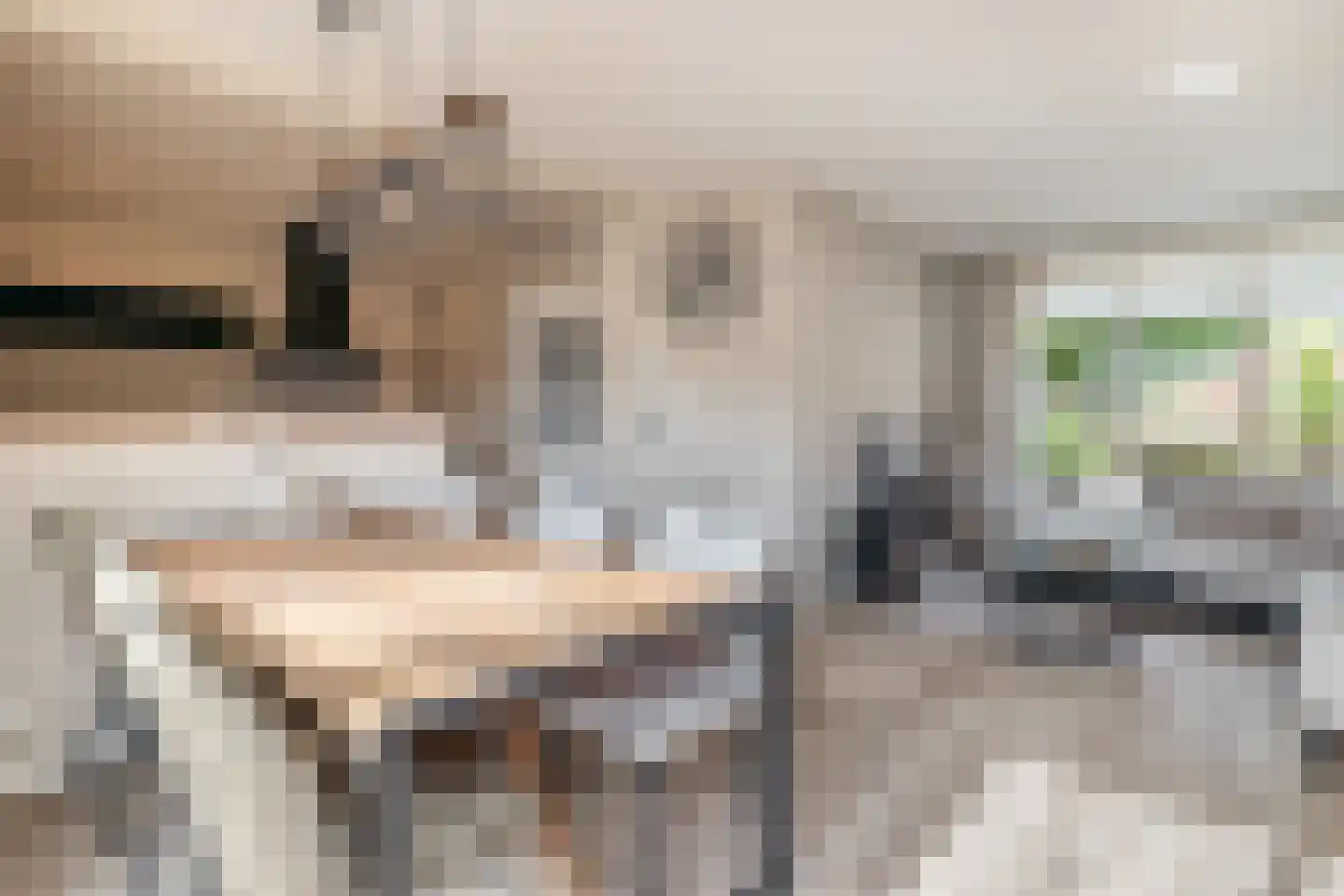 Adoptieplein 19 Herkingen thumbnail 7