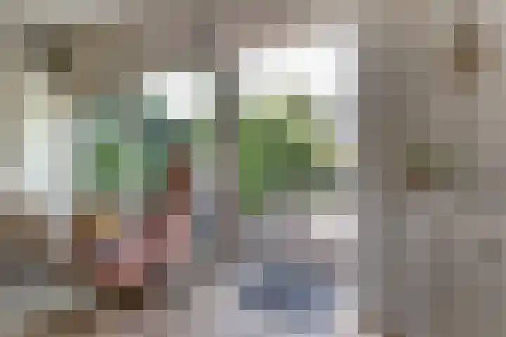 Adorppad 4 Arnhem thumbnail 16