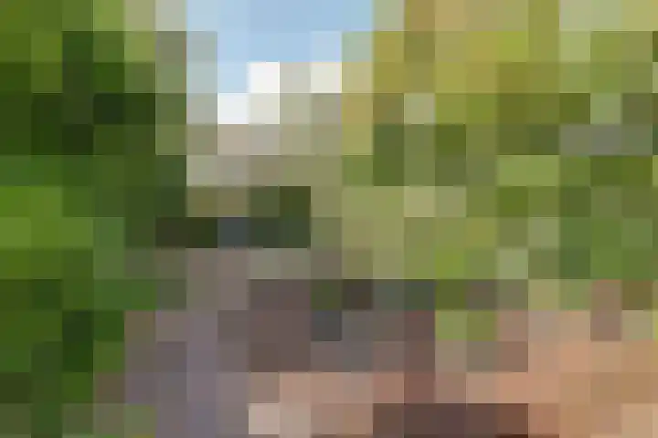 Adorppad 4 Arnhem thumbnail 18
