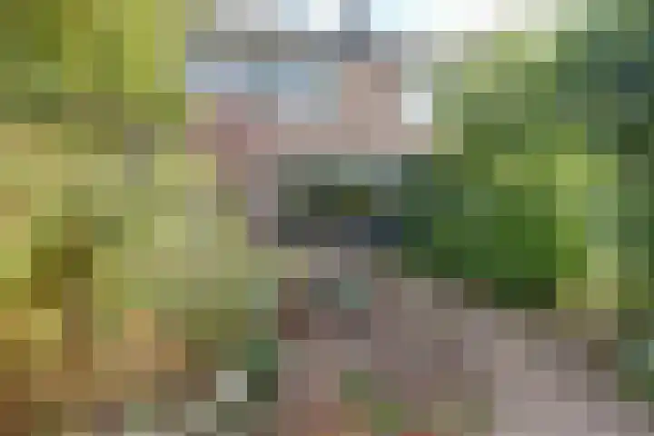 Adorppad 4 Arnhem thumbnail 21