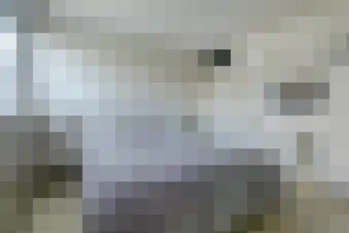 Adorppad 4 Arnhem thumbnail 25
