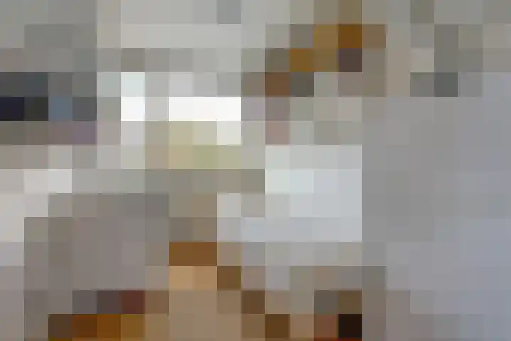 Adorppad 4 Arnhem thumbnail 32