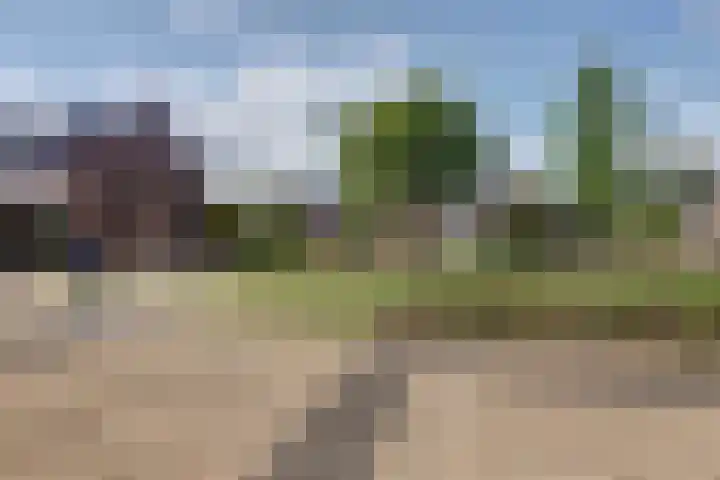 Adorppad 4 Arnhem thumbnail 43