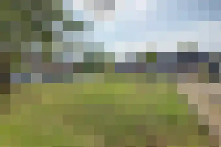 Adorppad 4 Arnhem thumbnail 44