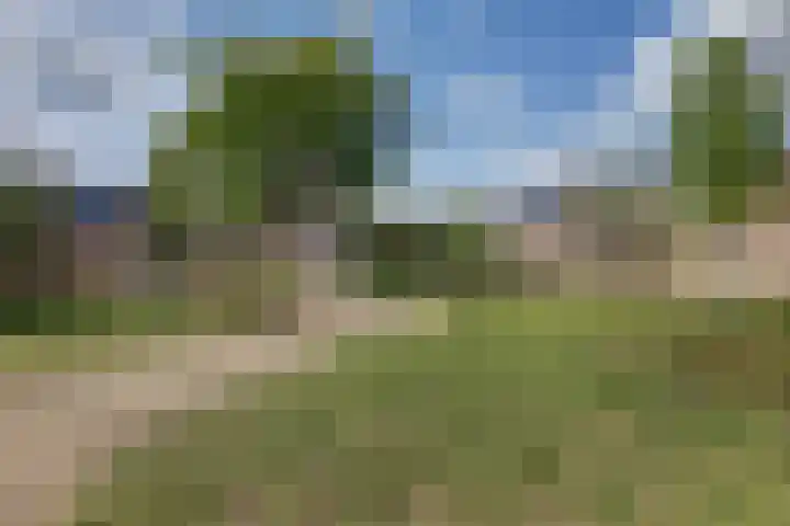 Adorppad 4 Arnhem thumbnail 45