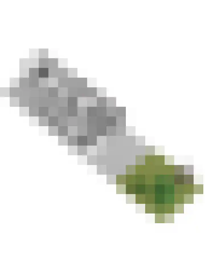 Adorppad 4 Arnhem thumbnail 53
