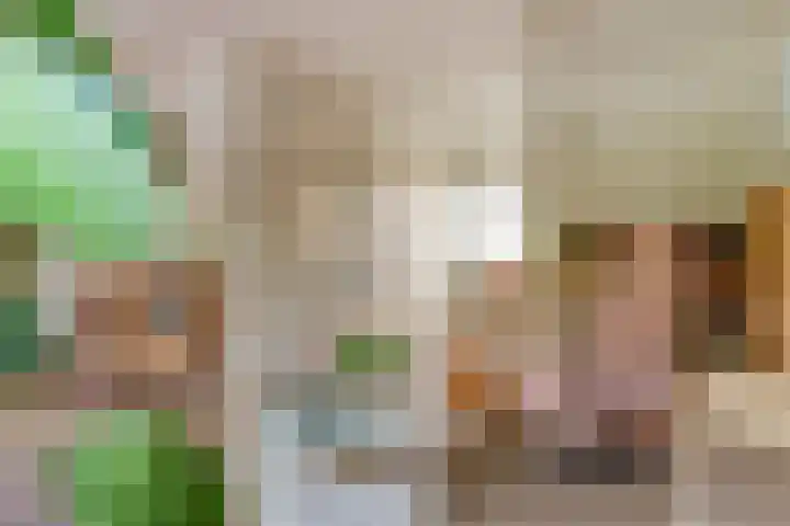 Adorppad 4 Arnhem thumbnail 8