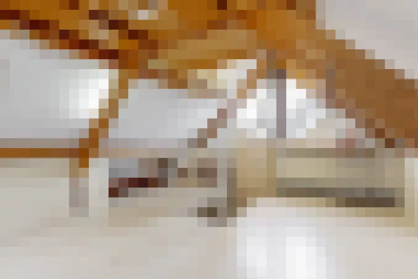 Adri Piecklaan 1 Hollandsche Rading thumbnail 18