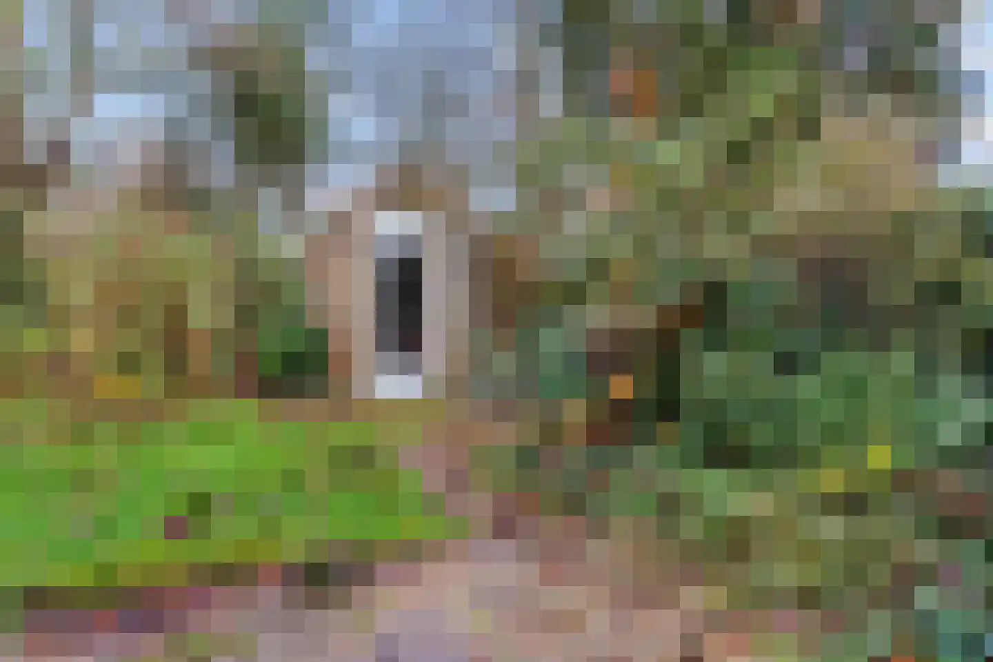 Adri Piecklaan 1 Hollandsche Rading thumbnail 22