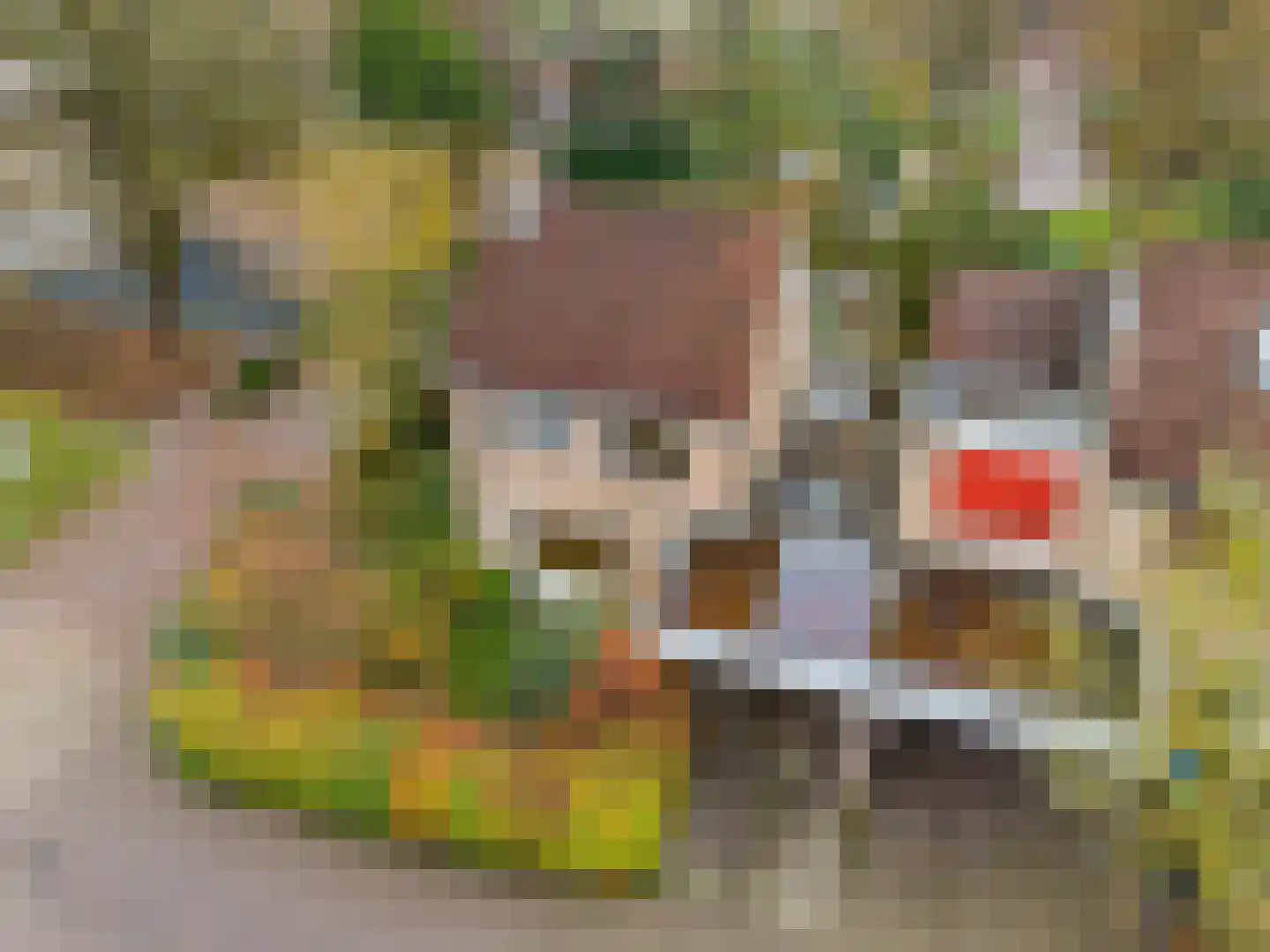 Adri Piecklaan 1 Hollandsche Rading thumbnail 24