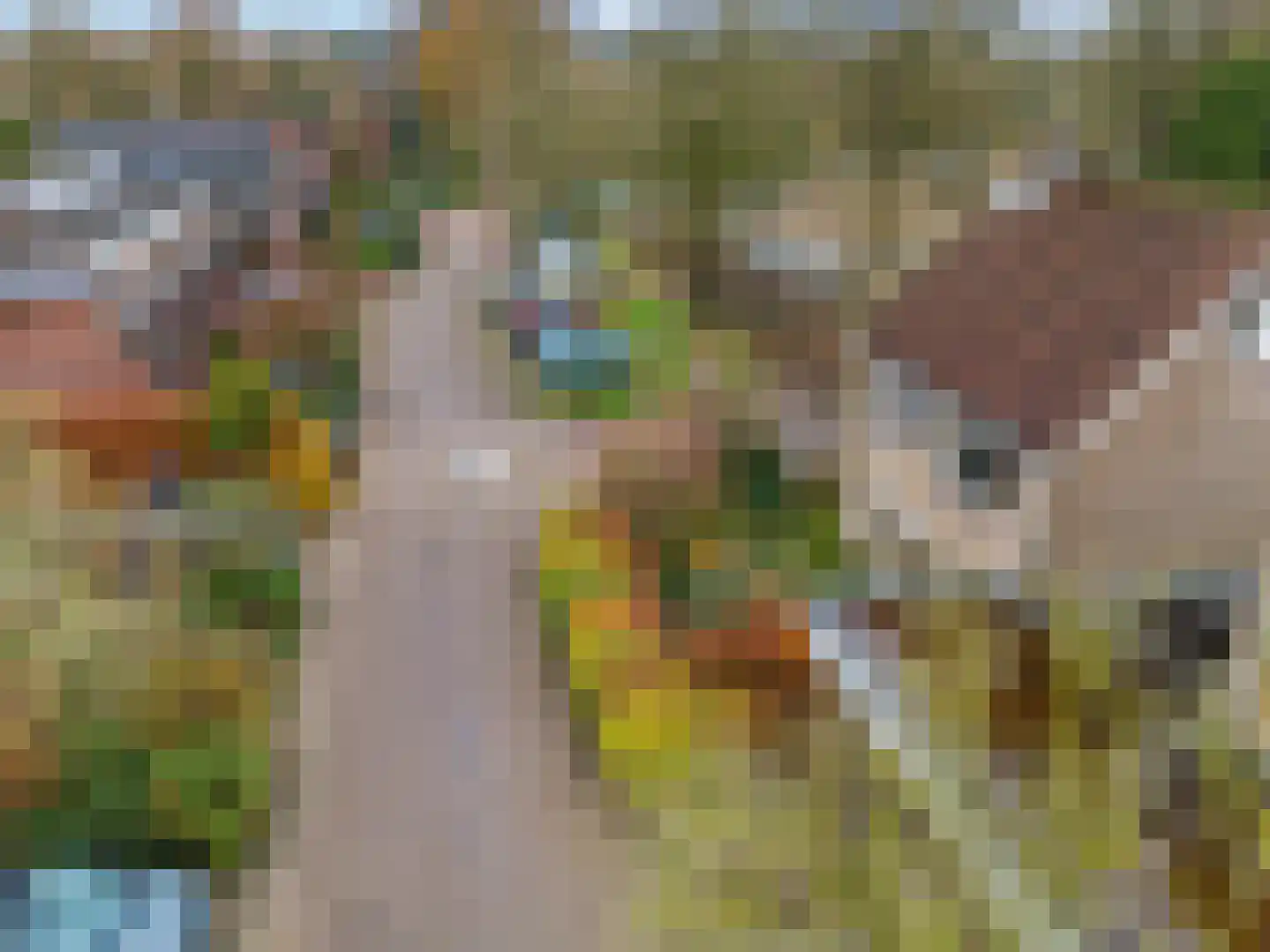 Adri Piecklaan 1 Hollandsche Rading thumbnail 27