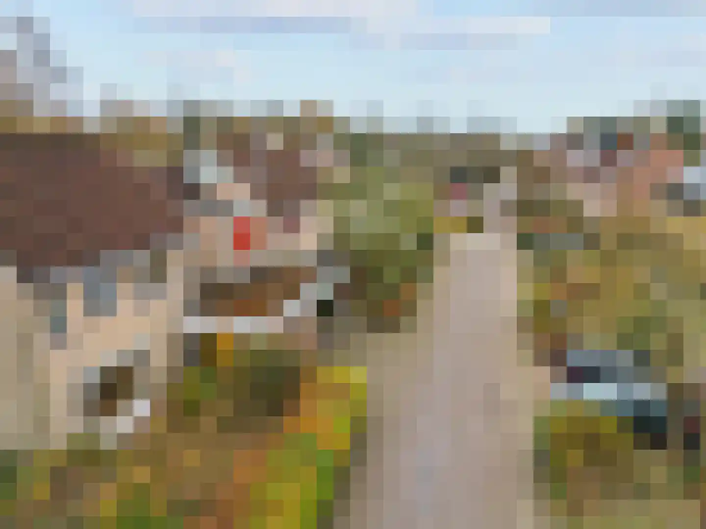 Adri Piecklaan 1 Hollandsche Rading thumbnail 28