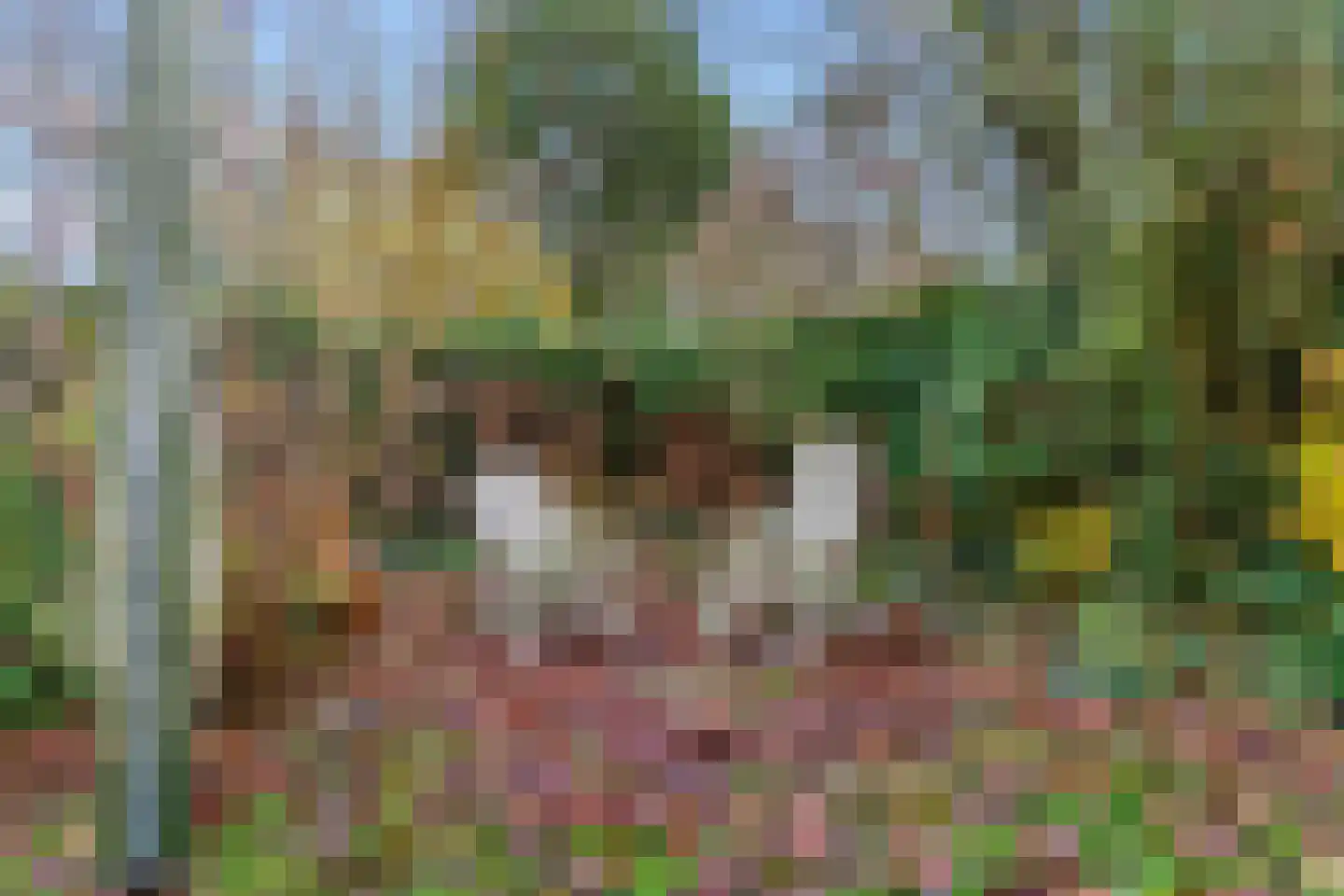 Adri Piecklaan 1 Hollandsche Rading thumbnail 28