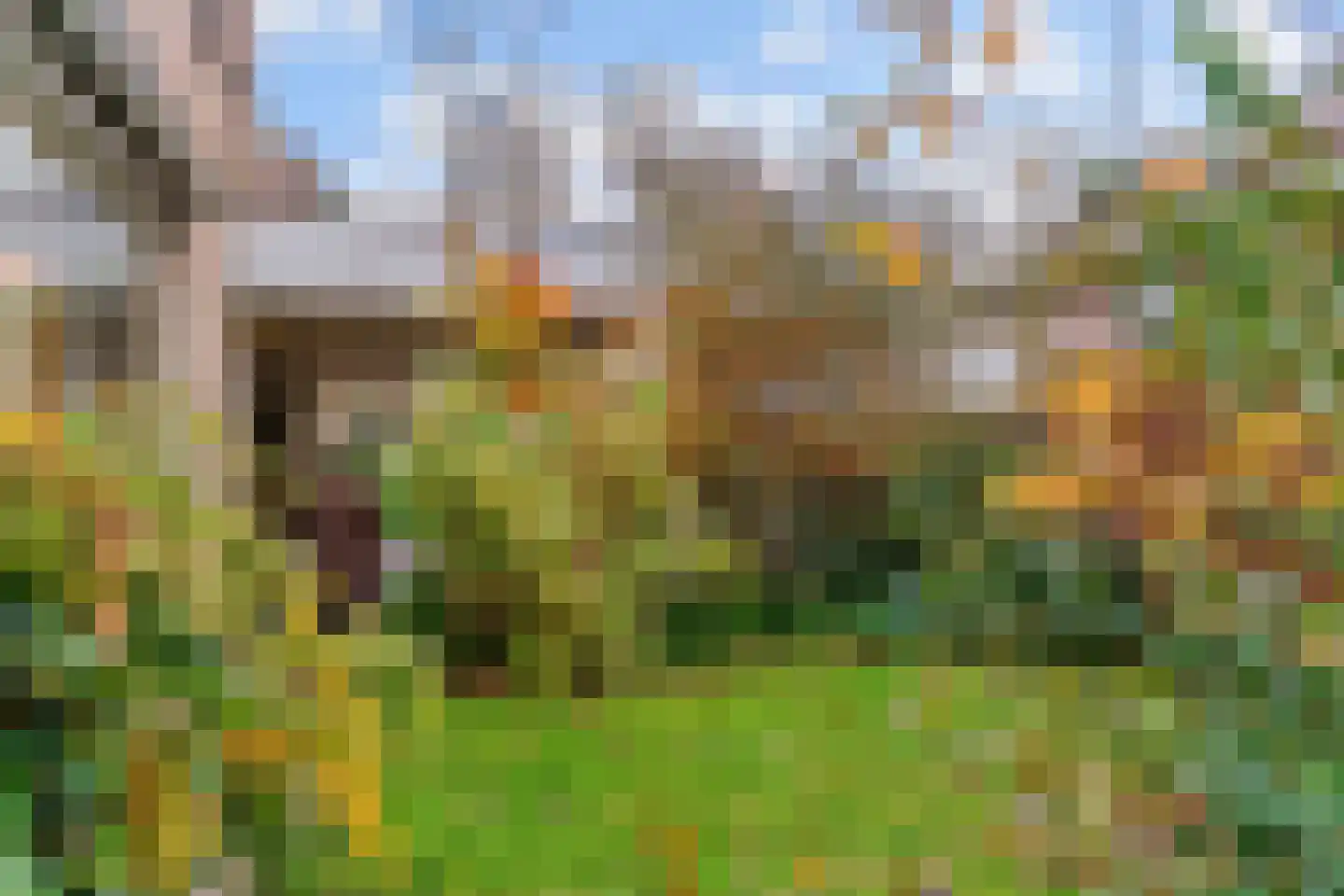 Adri Piecklaan 1 Hollandsche Rading thumbnail 29
