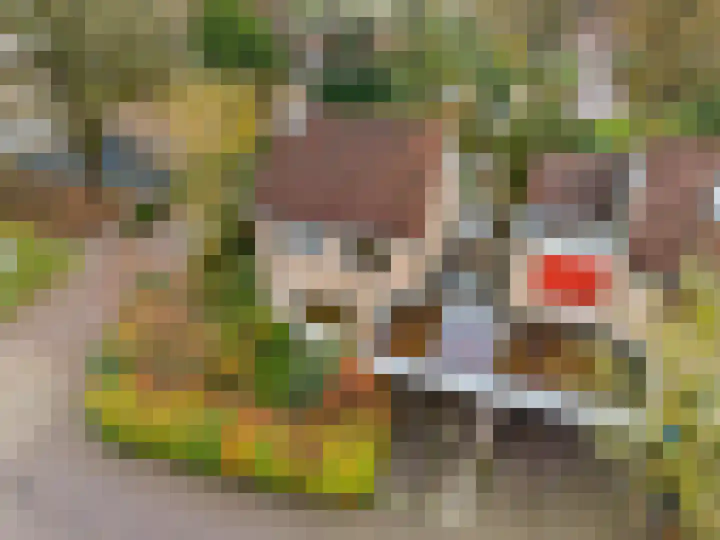 Adri Piecklaan 1 Hollandsche Rading thumbnail 31
