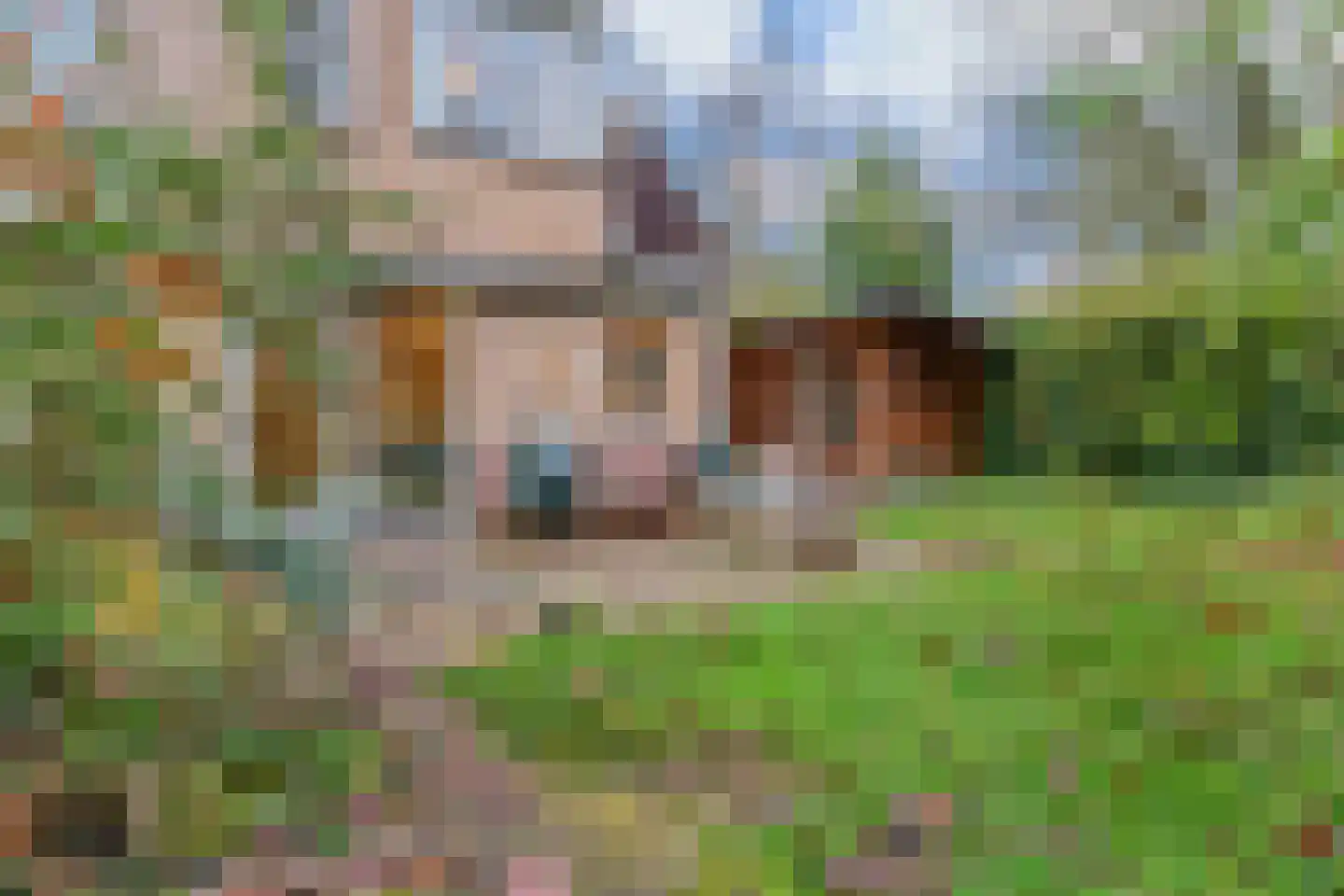 Adri Piecklaan 1 Hollandsche Rading thumbnail 7