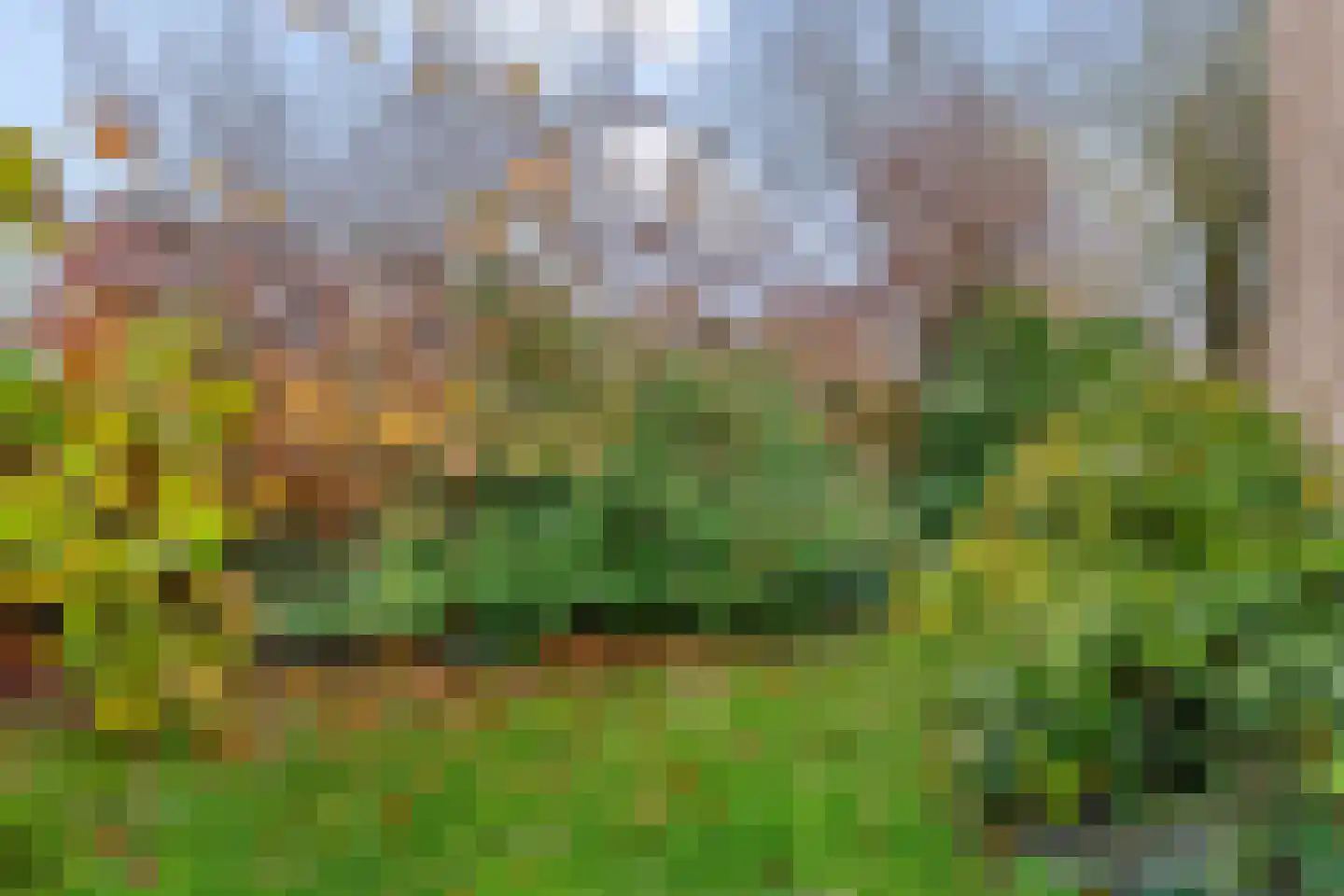 Adri Piecklaan 1 Hollandsche Rading thumbnail 8