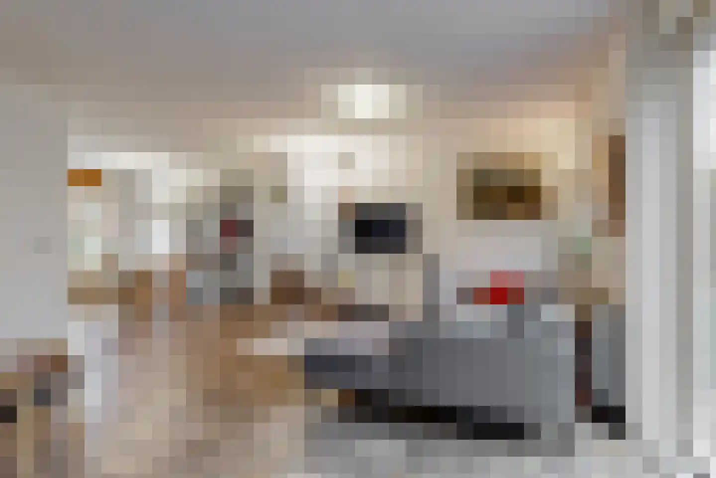 Adri Piecklaan 1 Hollandsche Rading thumbnail 9