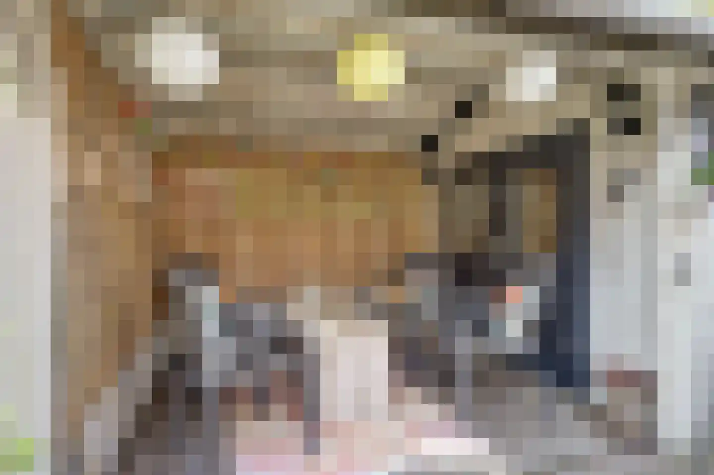 Adri Piecklaan 68 Hollandsche Rading thumbnail 10