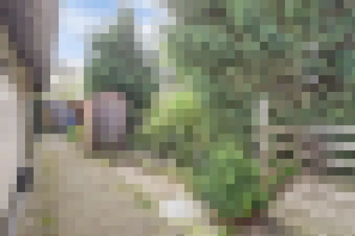 Adri Piecklaan 68 Hollandsche Rading thumbnail 15
