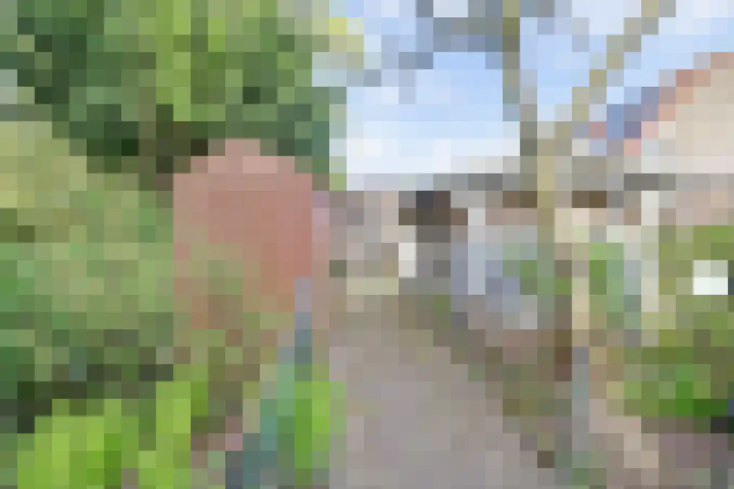 Adri Piecklaan 68 Hollandsche Rading thumbnail 16