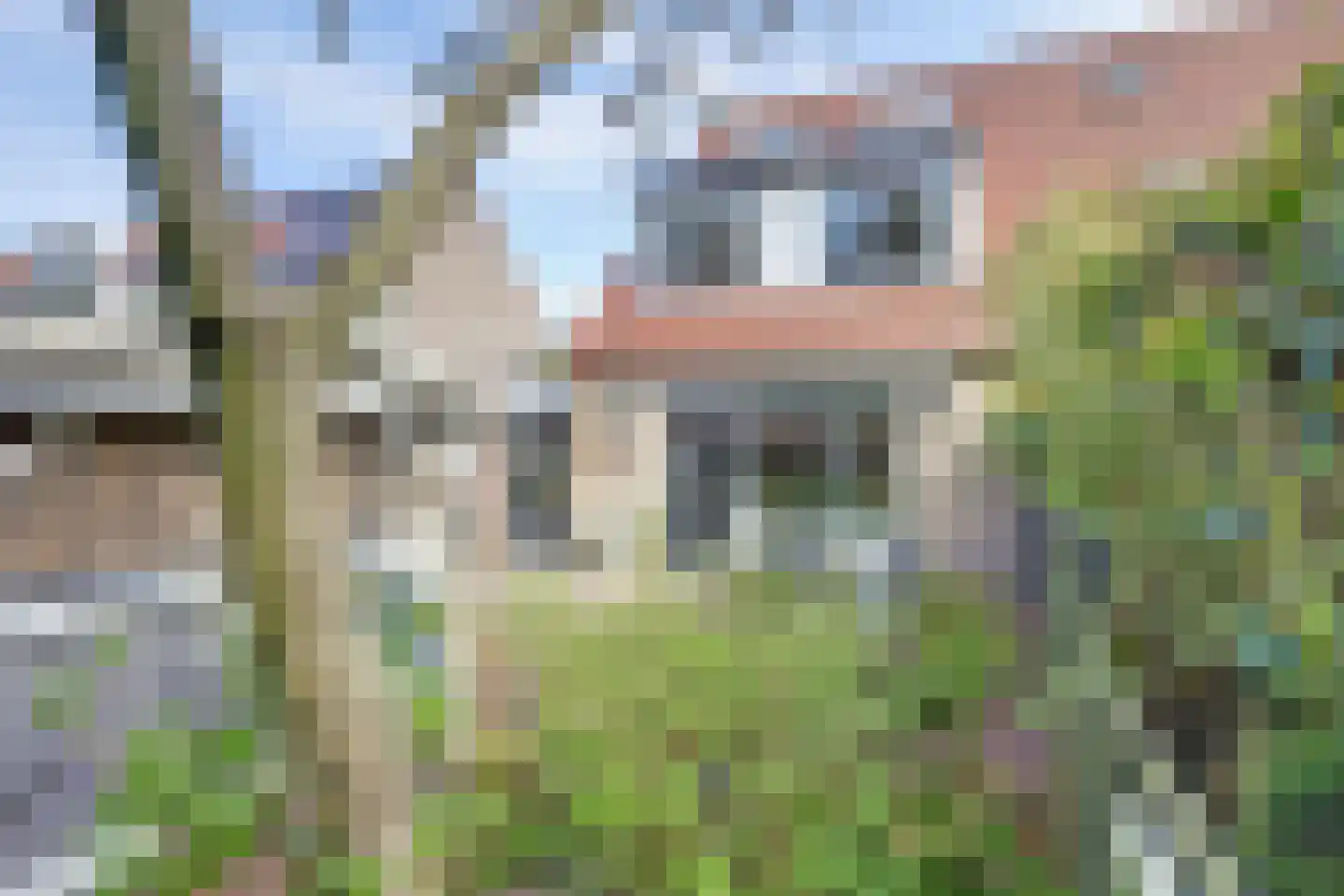 Adri Piecklaan 68 Hollandsche Rading thumbnail 17