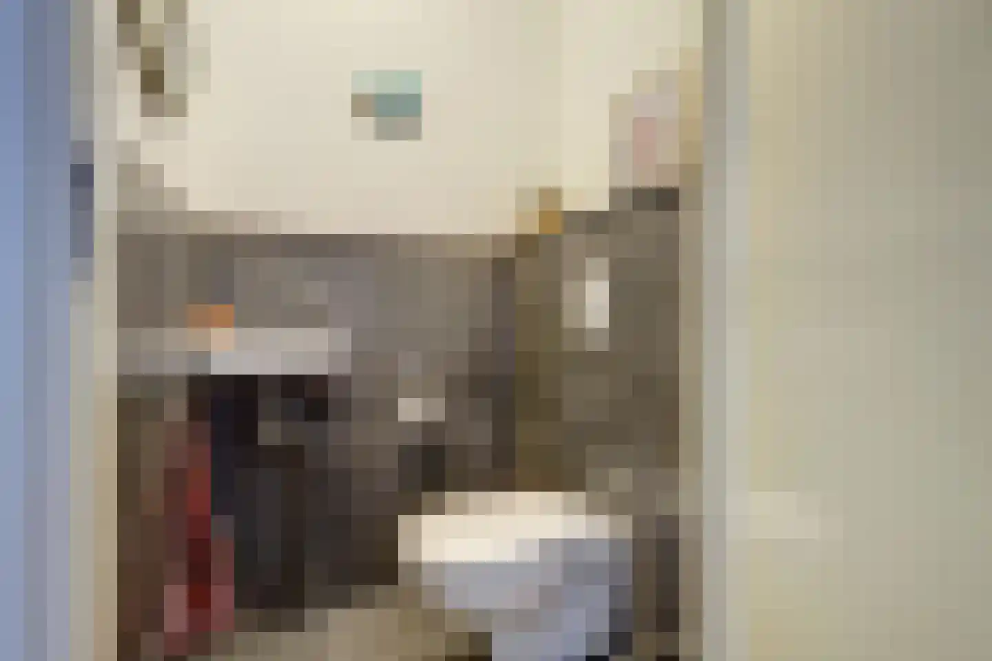 Adri Piecklaan 68 Hollandsche Rading thumbnail 18