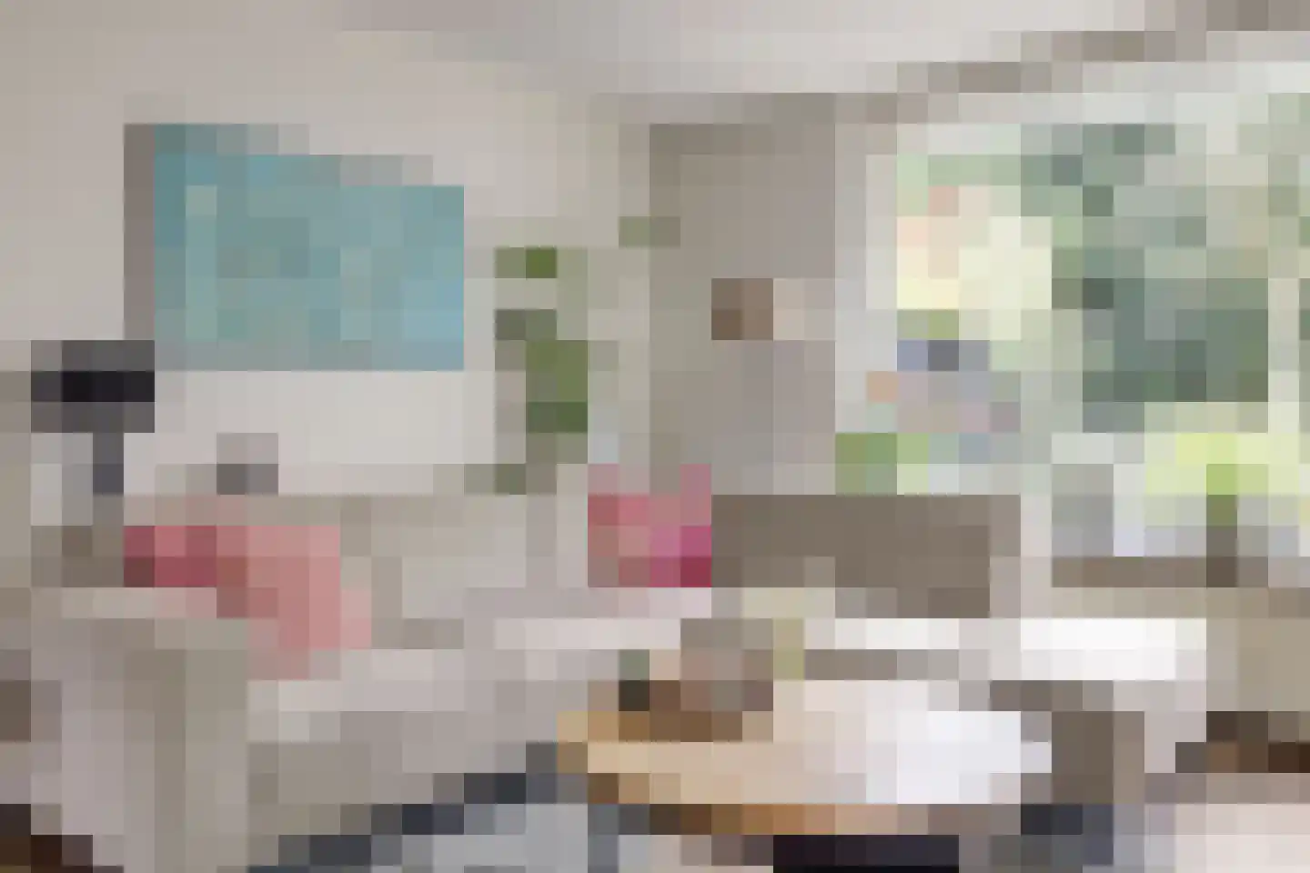 Adri Piecklaan 68 Hollandsche Rading foto 3