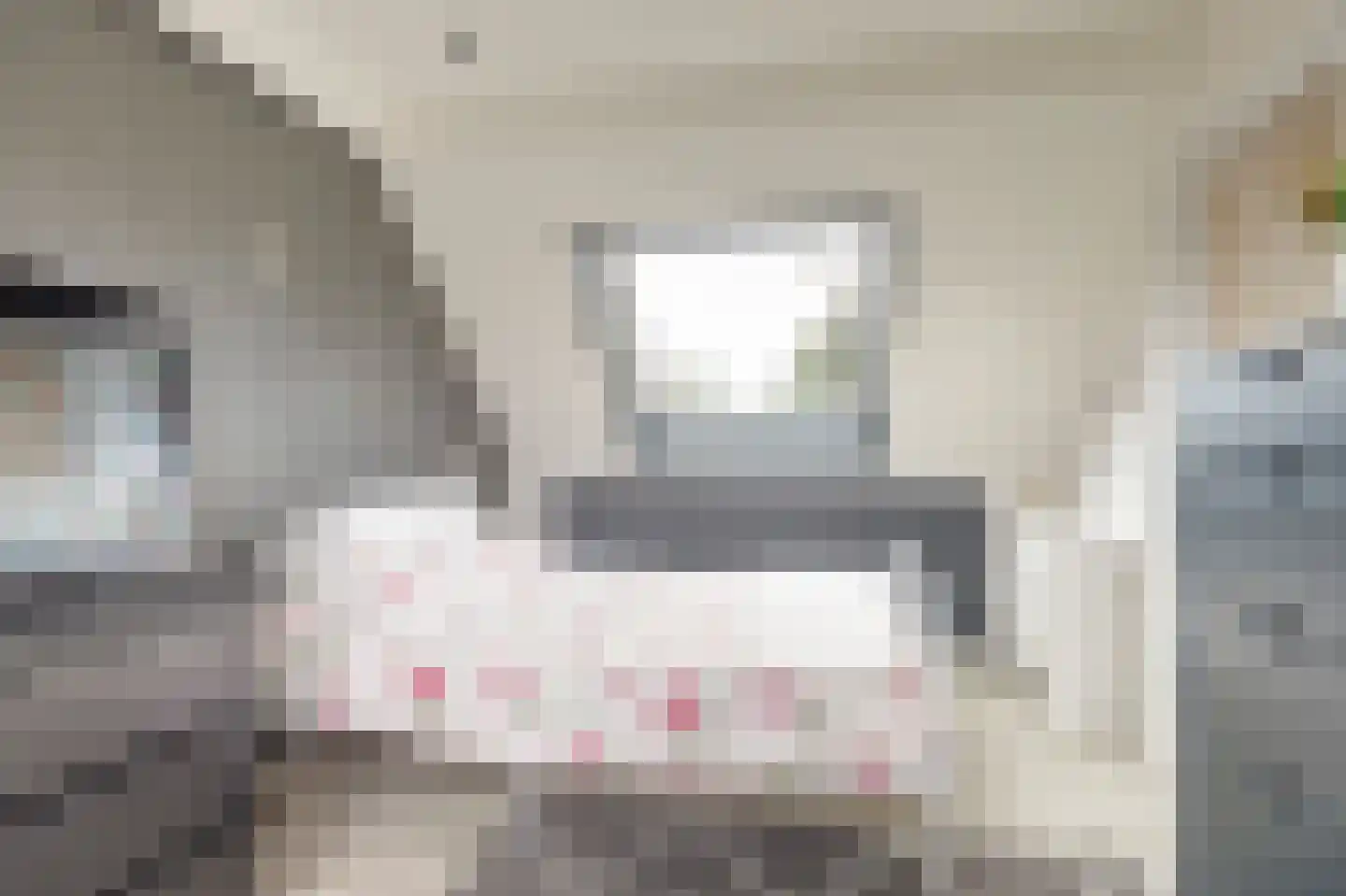 Adri Piecklaan 68 Hollandsche Rading thumbnail 31