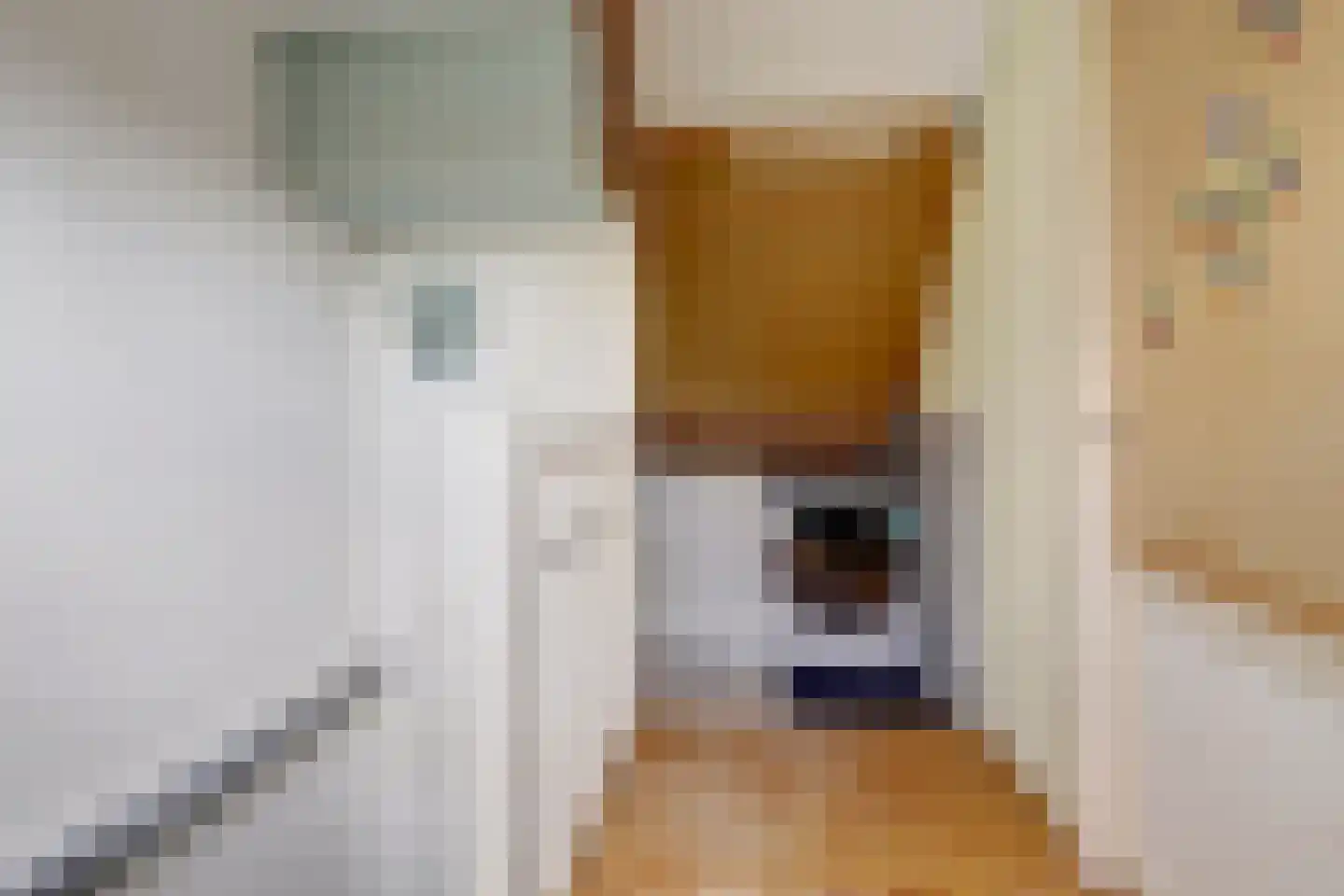 Adri Piecklaan 68 Hollandsche Rading thumbnail 33