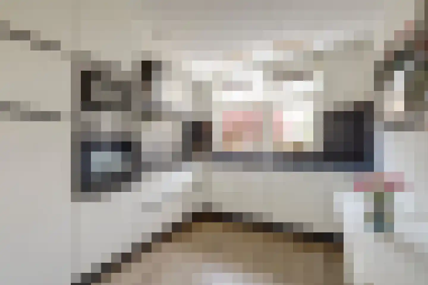 Adri Piecklaan 68 Hollandsche Rading thumbnail 6