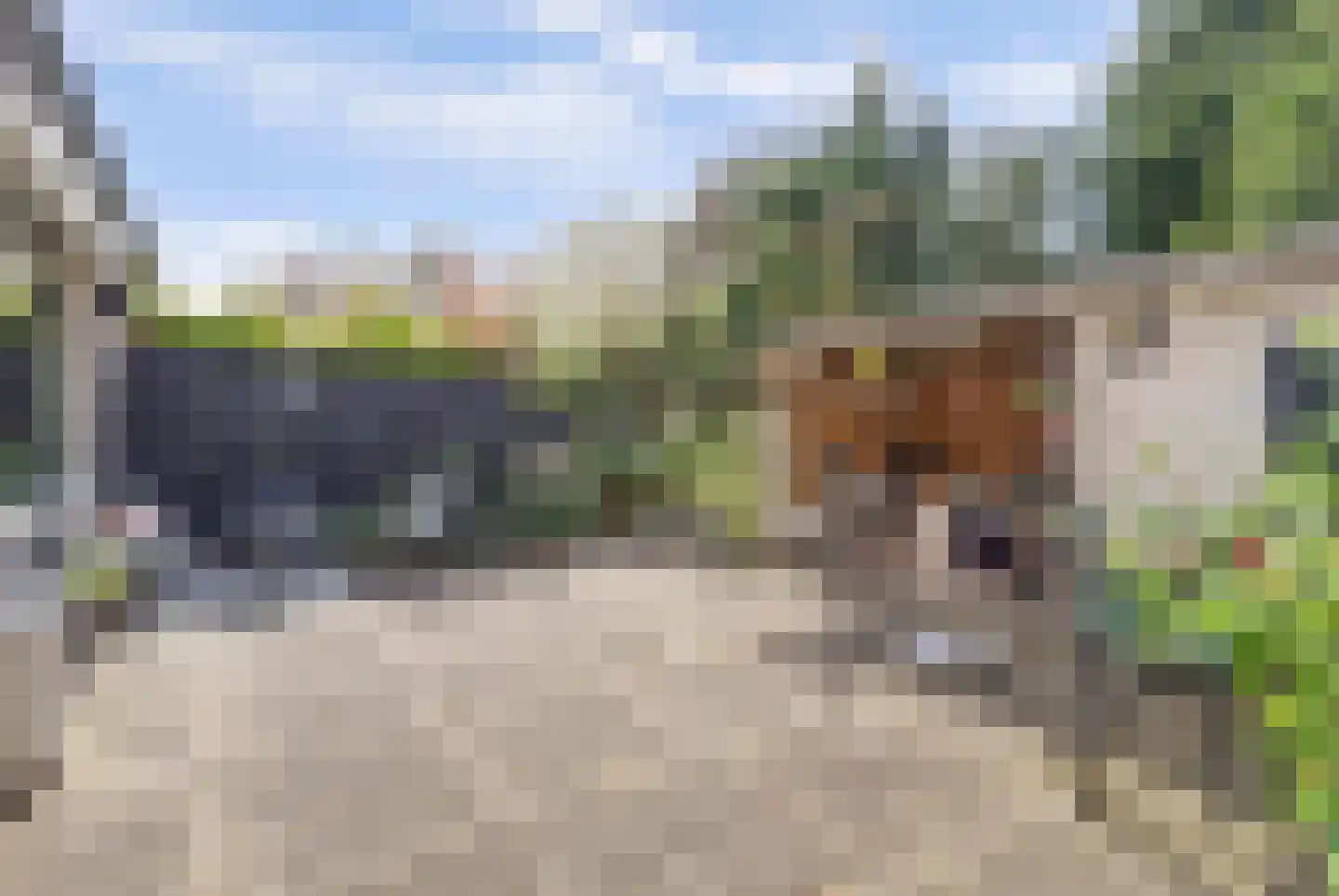 Adri Piecklaan 68 Hollandsche Rading thumbnail 9