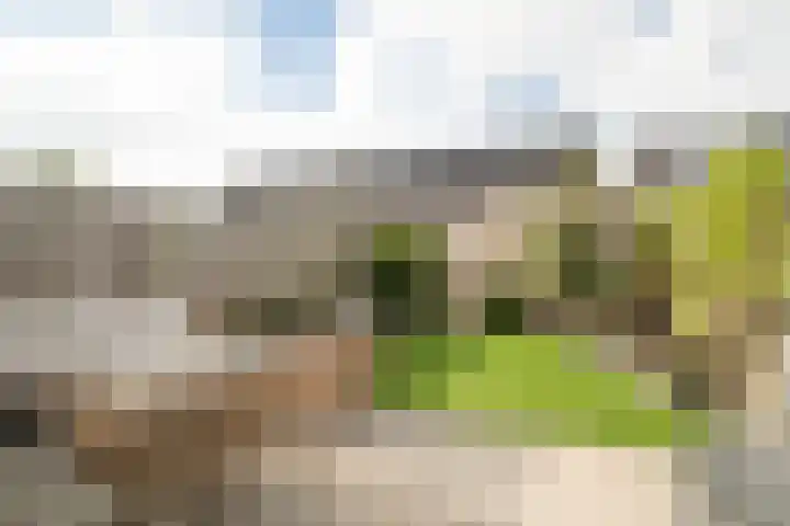 Adriaan Anthoniszstraat 18 Zwaag thumbnail 15
