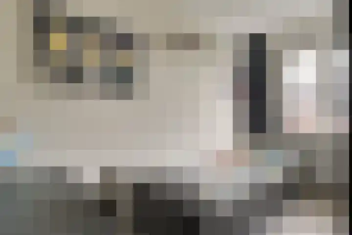 Adriaan Anthoniszstraat 18 Zwaag thumbnail 27