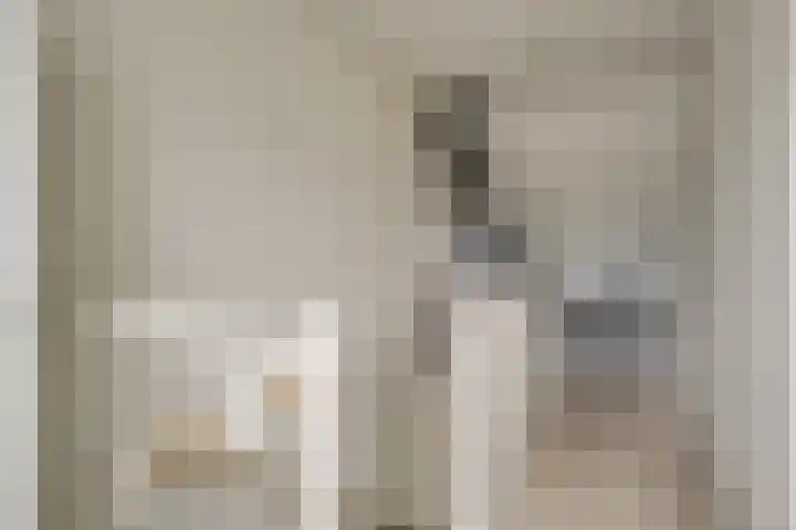 Adriaan Anthoniszstraat 18 Zwaag thumbnail 32