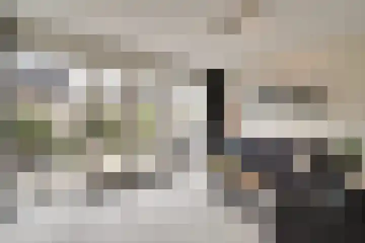 Adriaan Anthoniszstraat 18 Zwaag thumbnail 4
