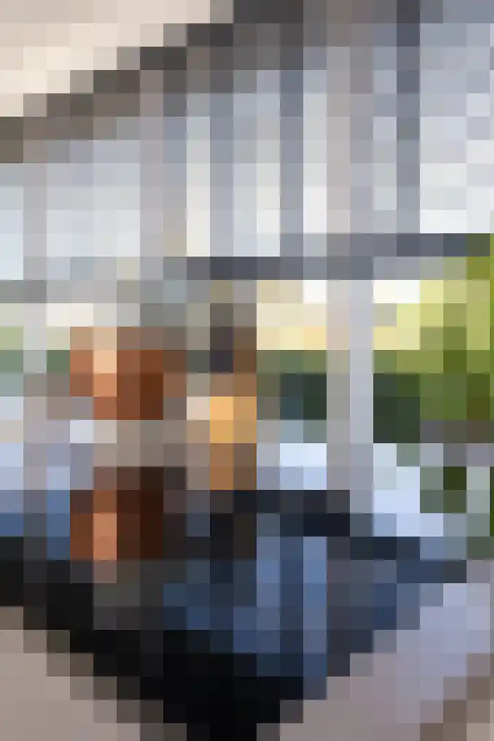 Adriaan Anthoniszstraat 28 Zwaag thumbnail 12