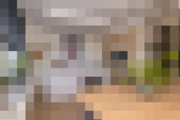 Adriaan Anthoniszstraat 28 Zwaag thumbnail 9