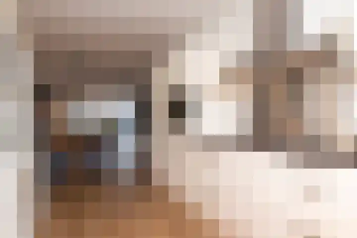 Adriaan Anthoniszstraat 4 Zwaag thumbnail 11