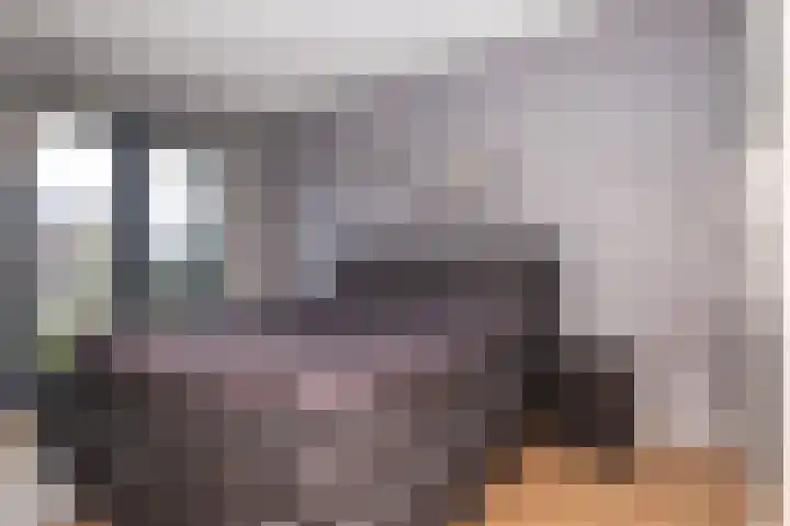 Adriaan Anthoniszstraat 4 Zwaag thumbnail 26