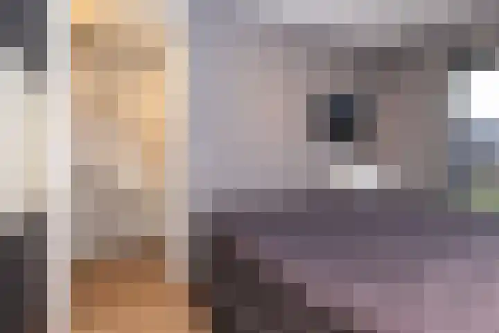 Adriaan Anthoniszstraat 4 Zwaag thumbnail 27