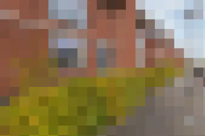 Adriaan Anthoniszstraat 4 Zwaag thumbnail 6