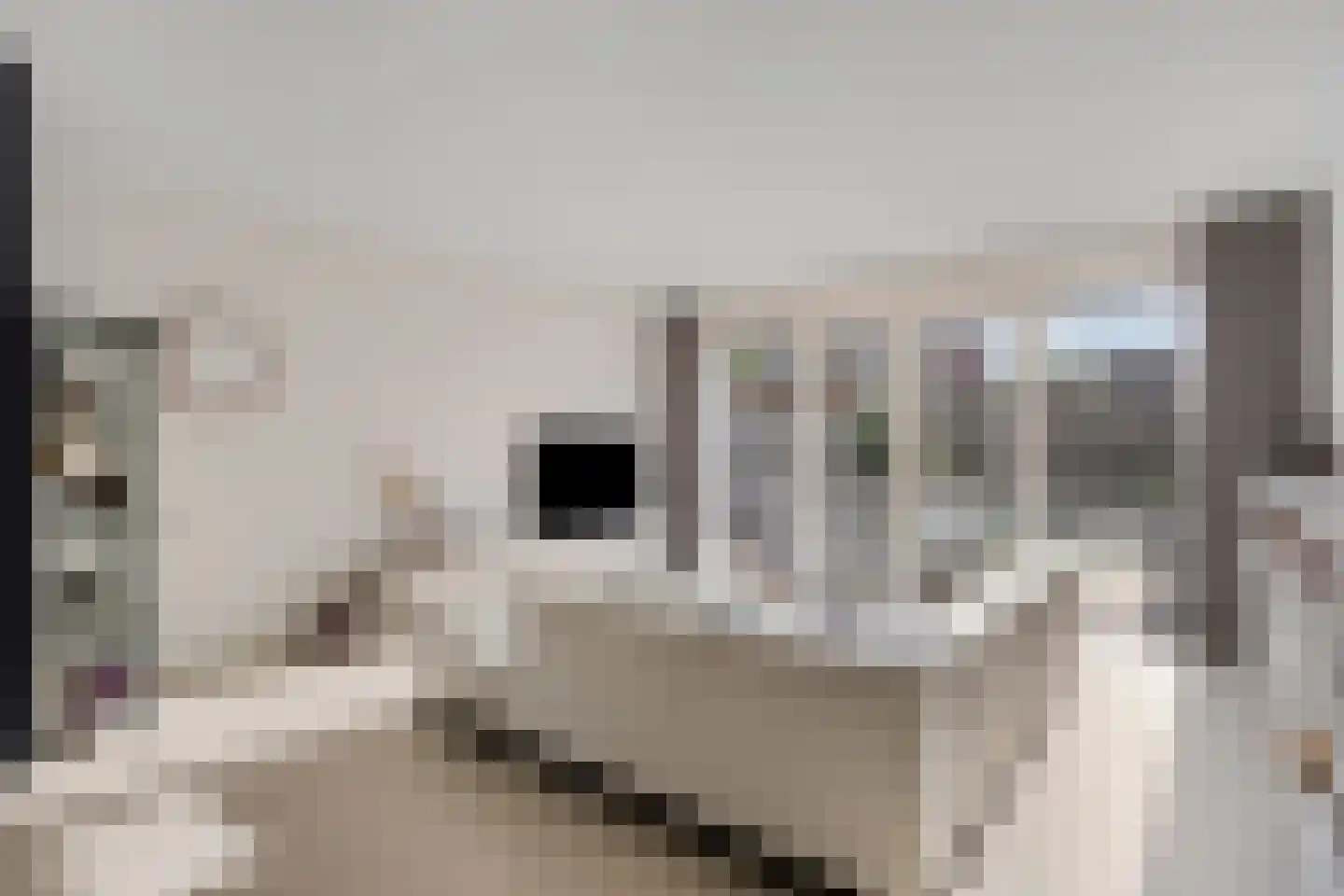 Adriaan Anthoniszstraat 9 Zwaag thumbnail 12