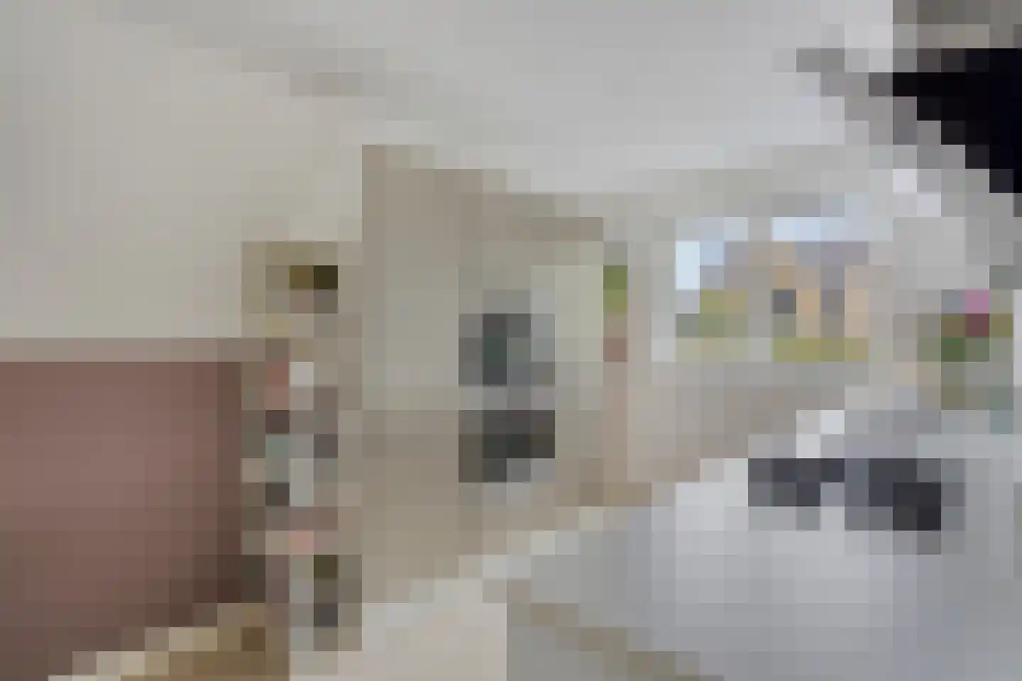 Adriaan Anthoniszstraat 9 Zwaag thumbnail 19