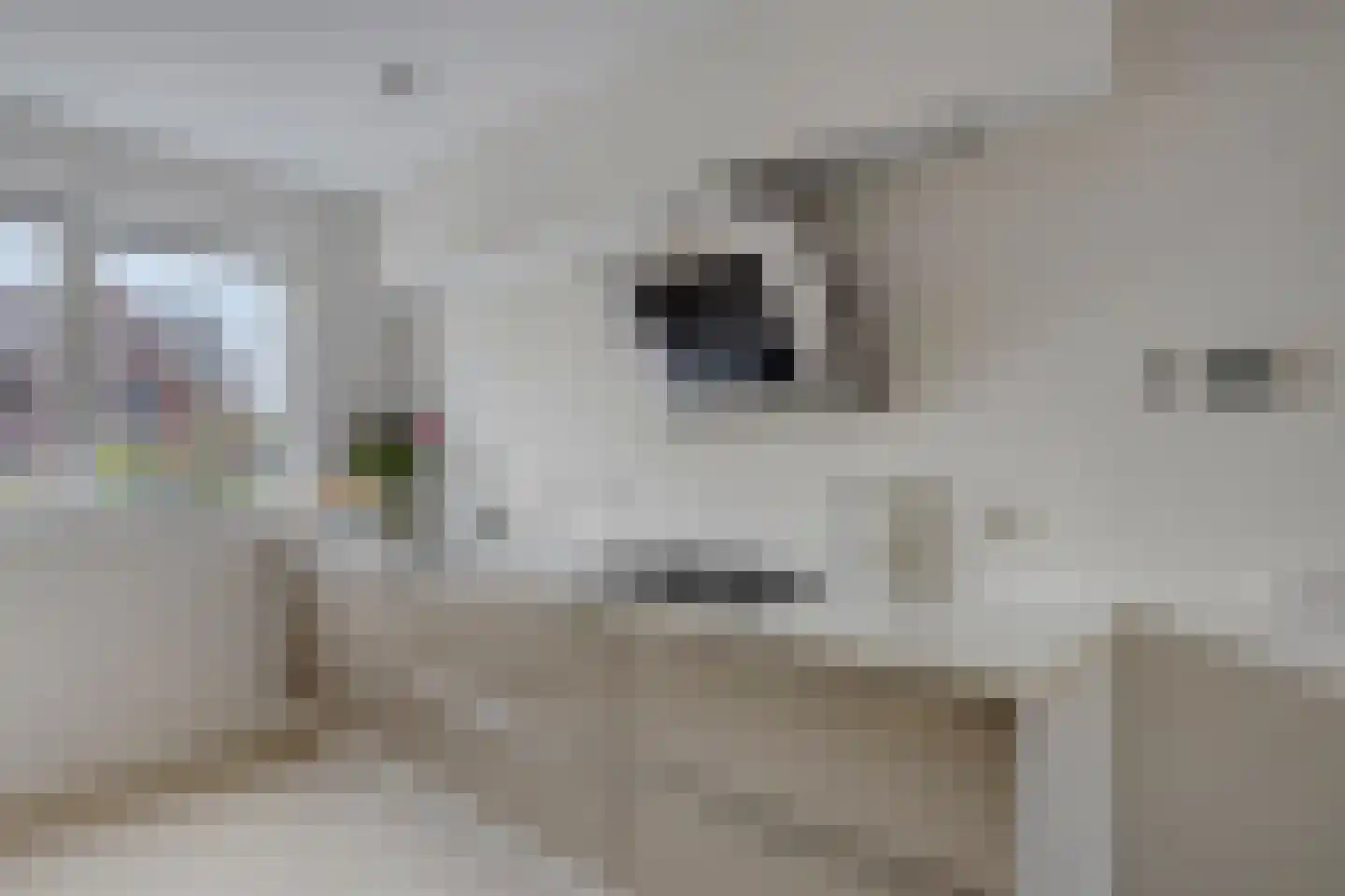 Adriaan Anthoniszstraat 9 Zwaag thumbnail 20